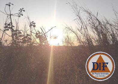 Terreno, 250 m² - Foto 3