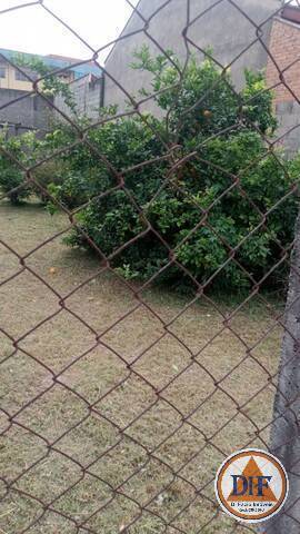 Terreno à venda, 300m² - Foto 6