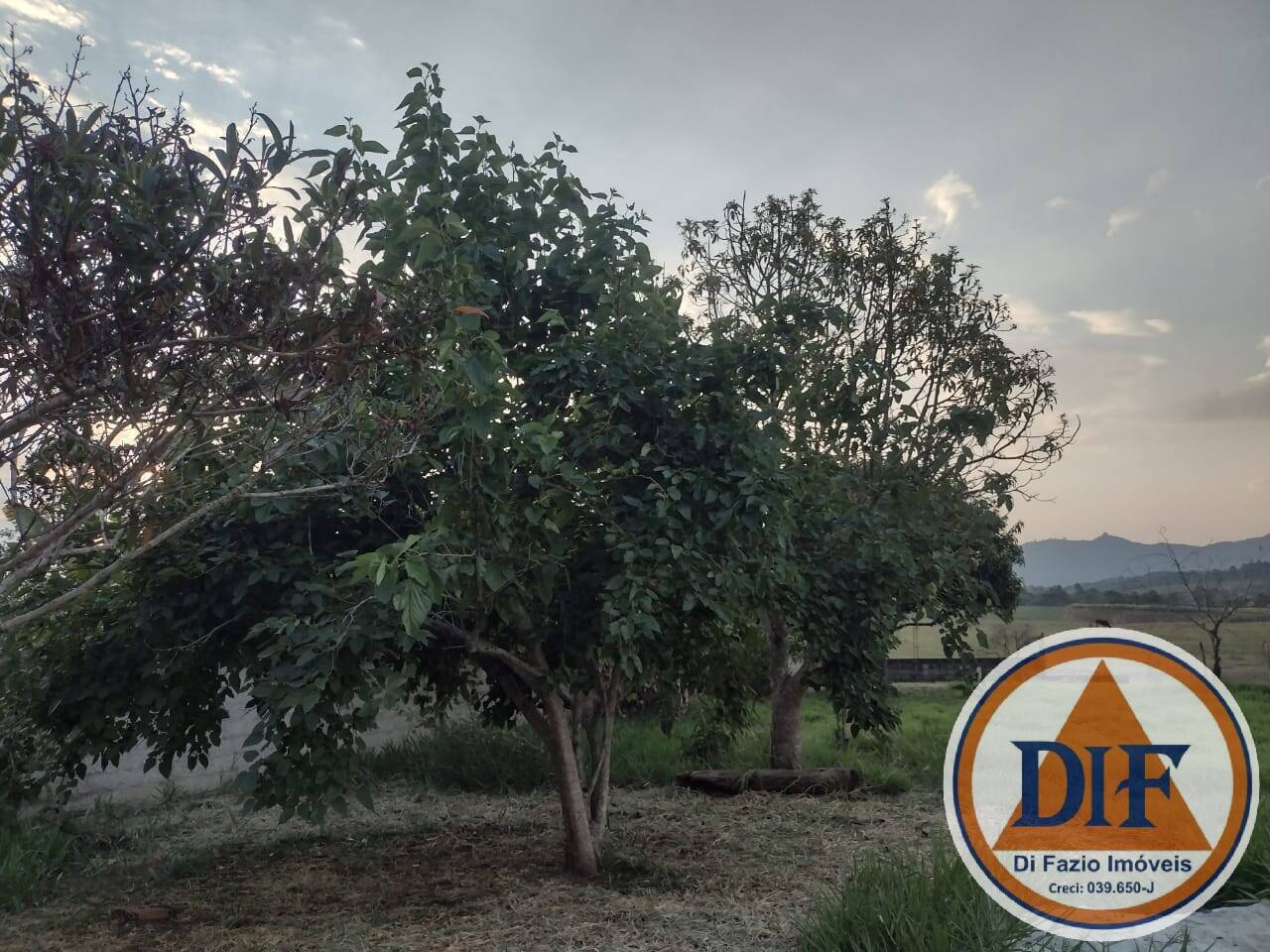 Chácara à venda com 3 quartos, 170m² - Foto 1
