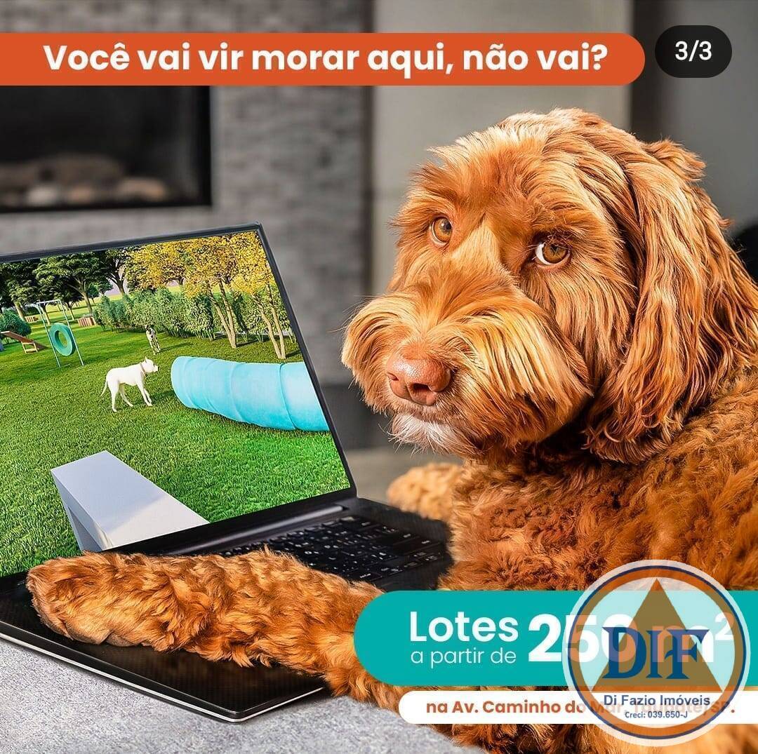 Terreno à venda, 250m² - Foto 15